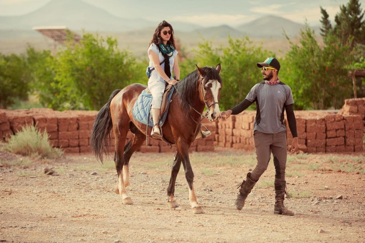 Ecolodge L'Ile De Ouarzazate Tarmigt Екстериор снимка