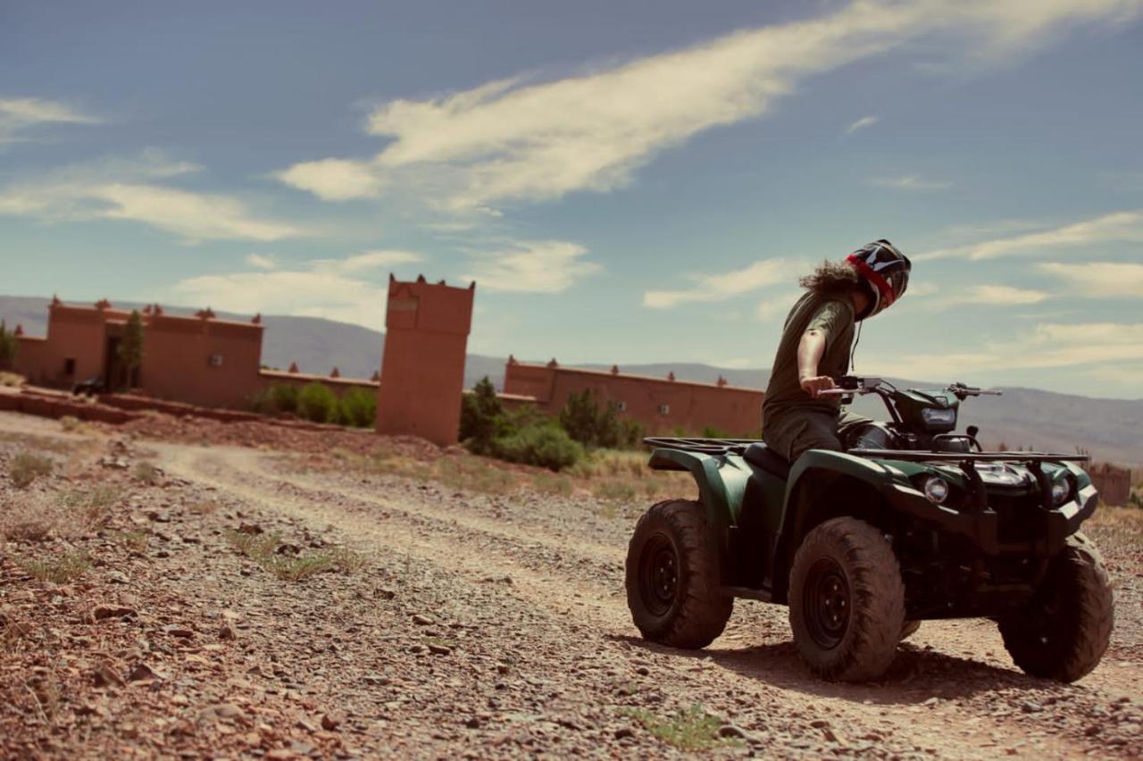 Ecolodge L'Ile De Ouarzazate Tarmigt Екстериор снимка